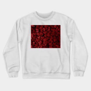 Red Heart Pattern Crewneck Sweatshirt